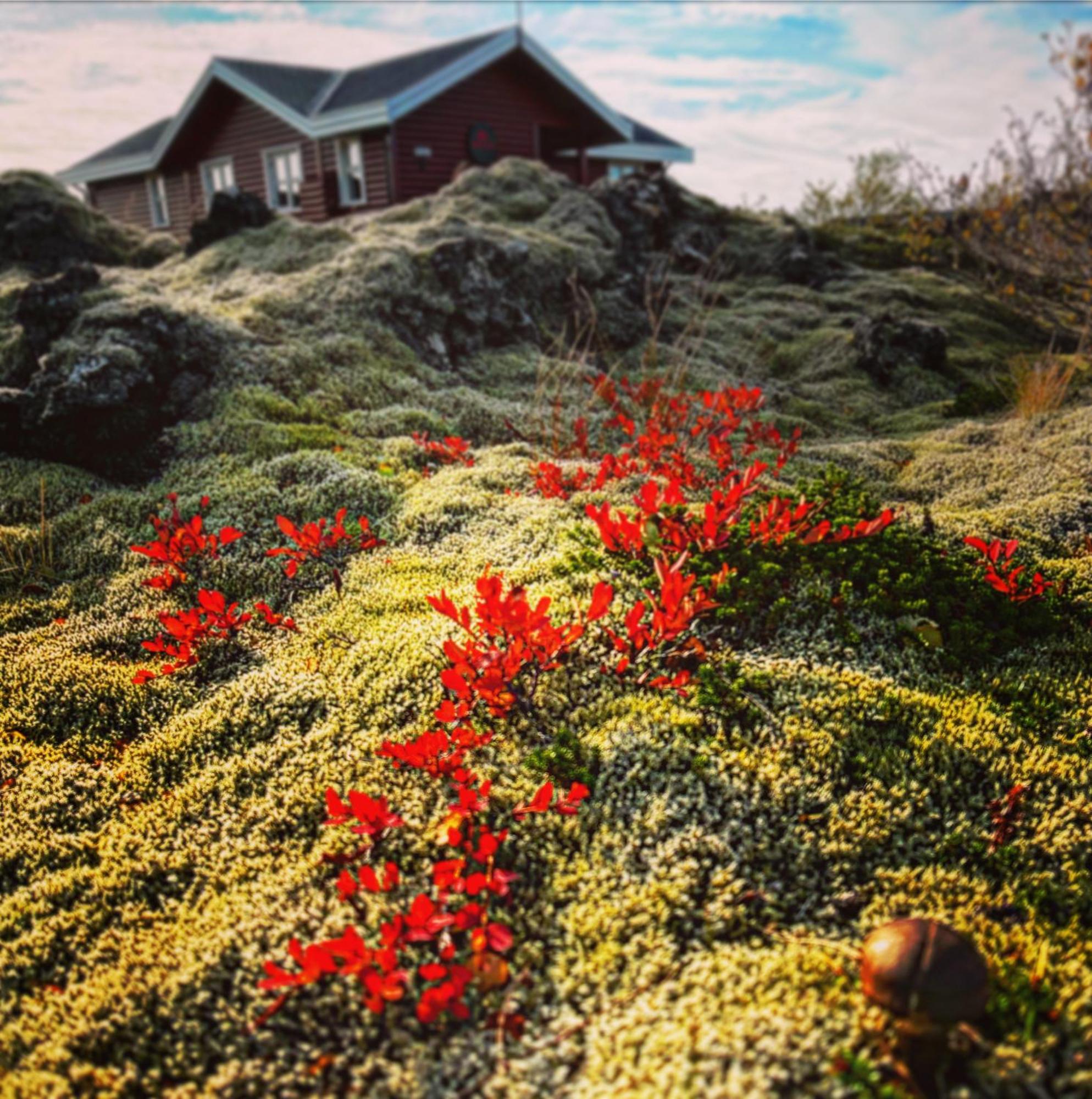 Вилла House In Lava Боргарнес Экстерьер фото