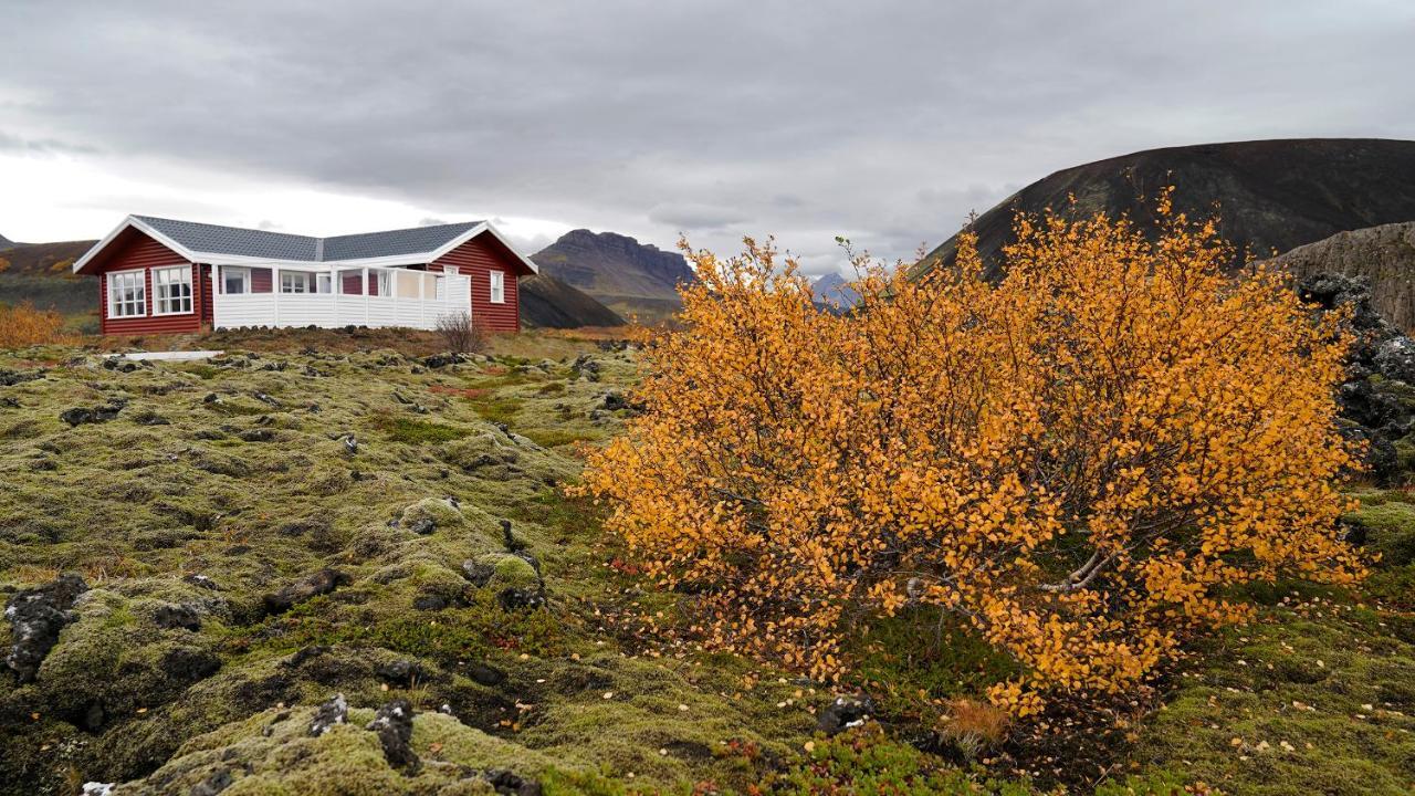 Вилла House In Lava Боргарнес Экстерьер фото